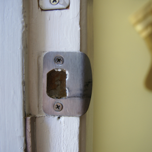 door lock security plate